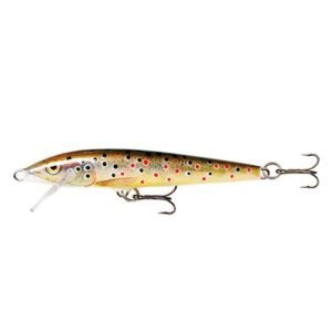 Imagen Rapala Countdown Trucha